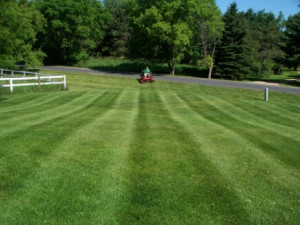 Lawn Mowing Forest Lake | Lino Lakes | White Bear Lake